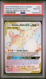 Raichu & Alolan Raichu Gx