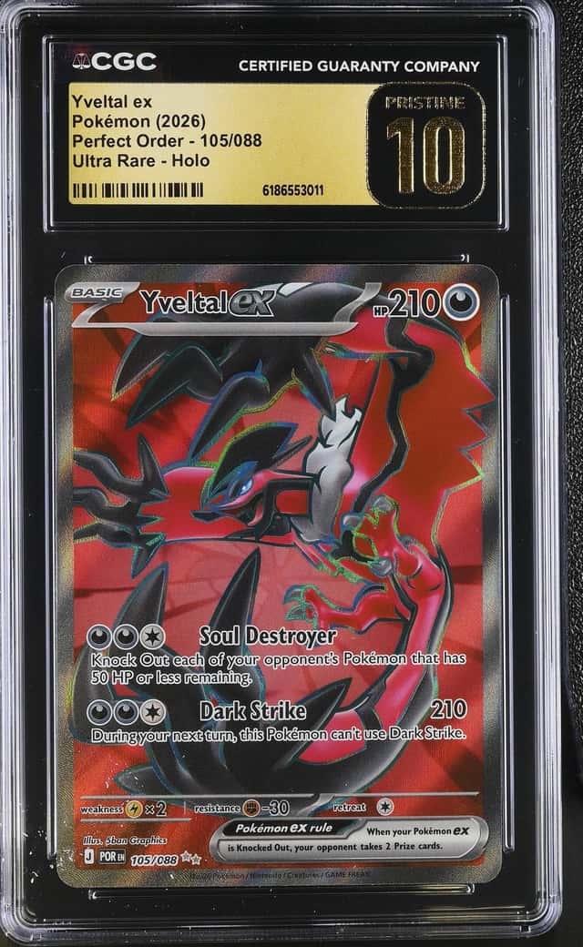 Yveltal ex