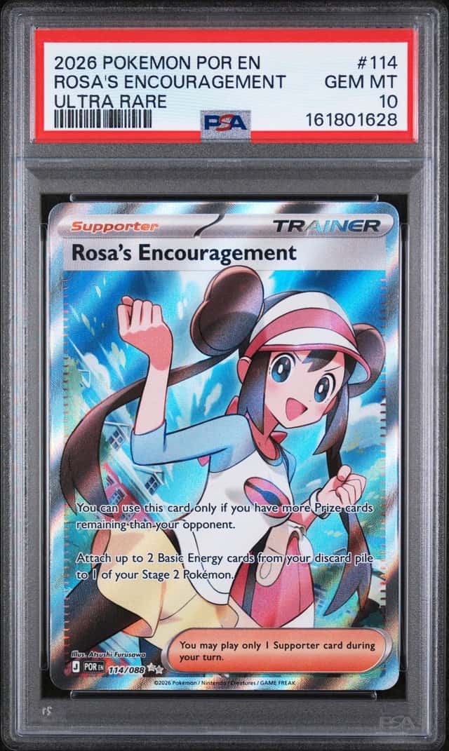 Rosa's Encouragement