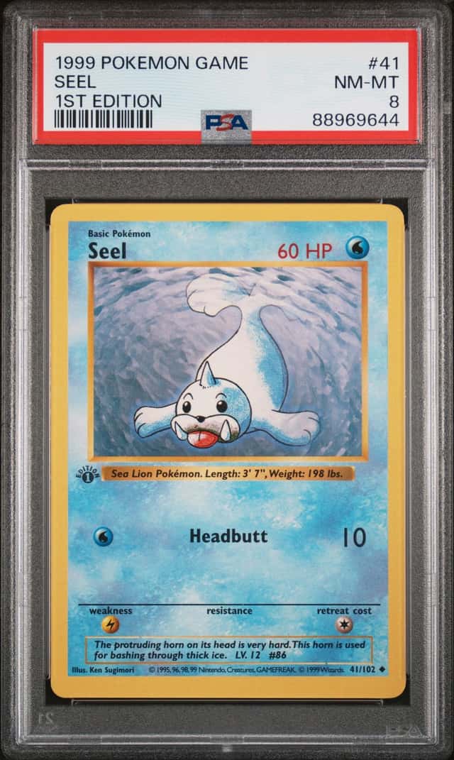 Seel