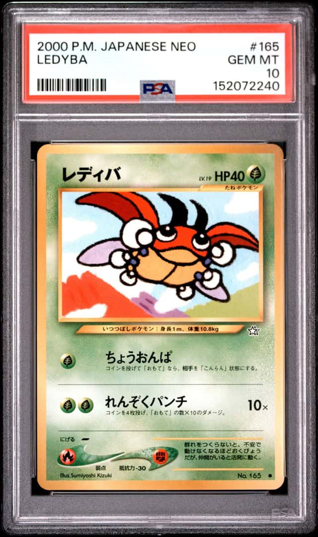 Ledyba