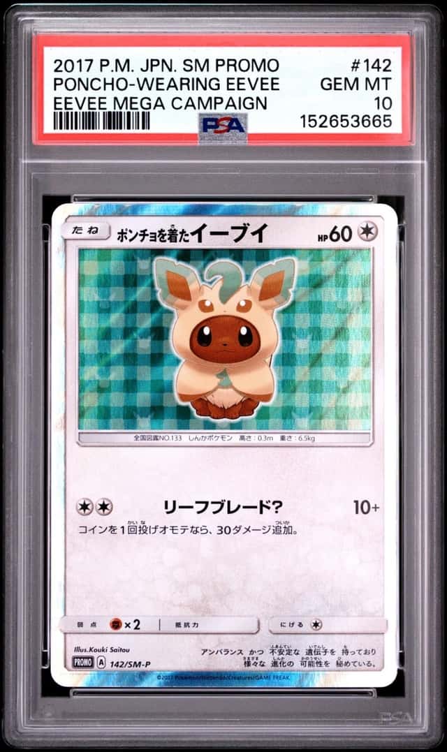Poncho-Wearing Eevee