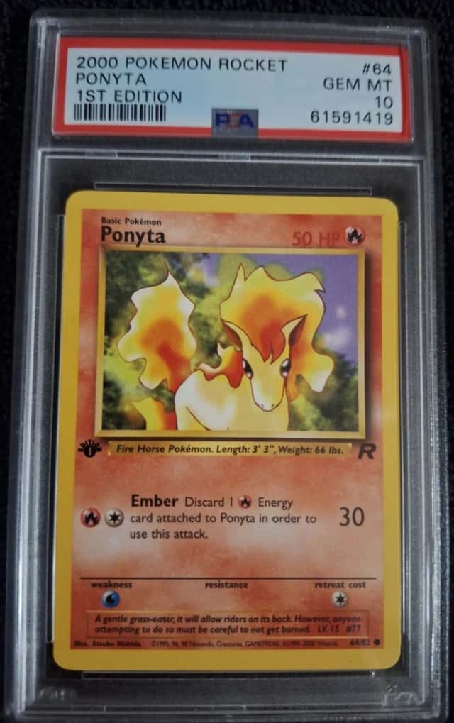 Ponyta