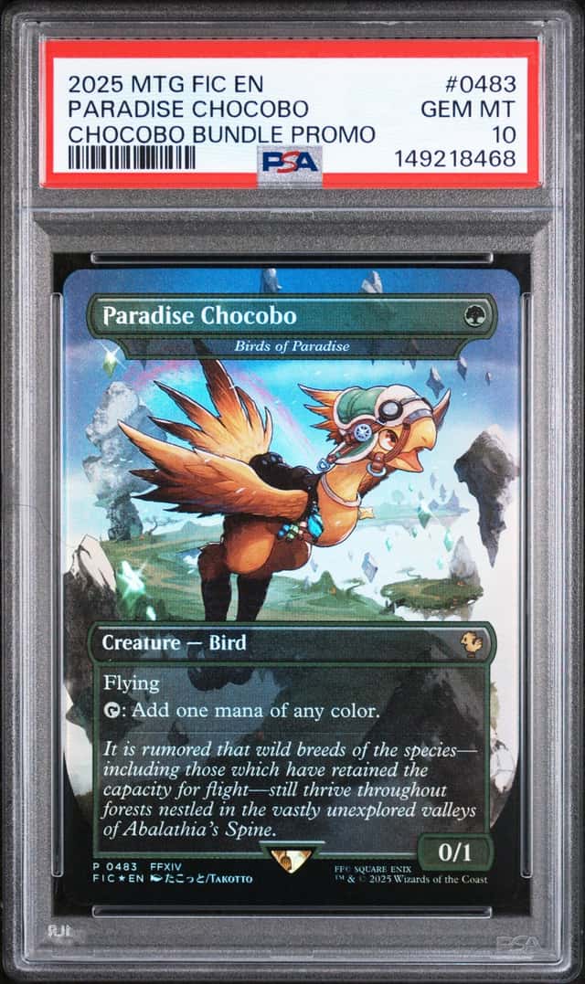 Paradise Chocobo