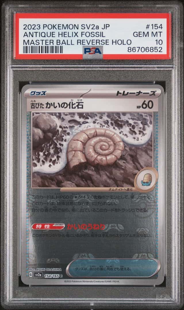 Antique Helix Fossil