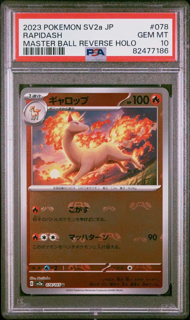 Rapidash