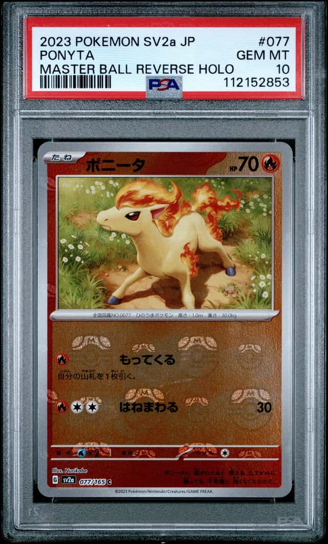 Ponyta