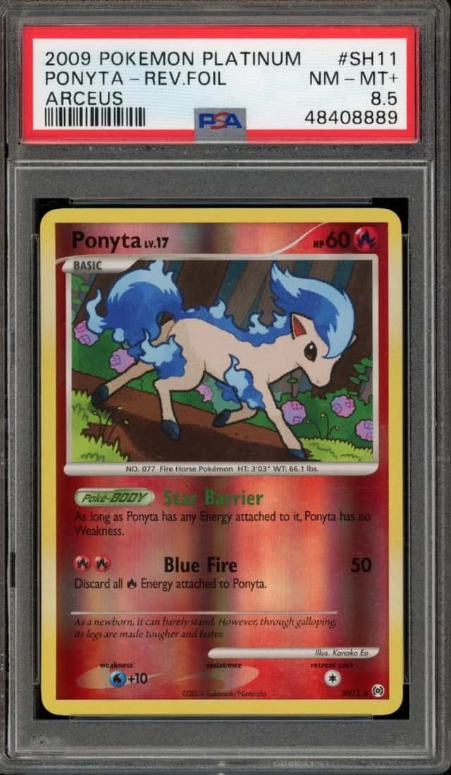 Ponyta