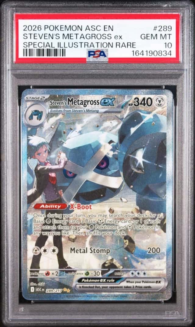 STEVEN'S METAGROSS ex