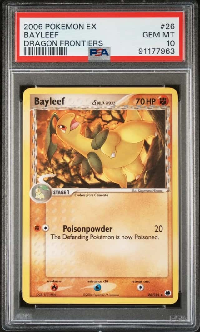 Bayleaf Δ