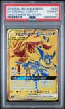 Greninja & Zoroark Gx