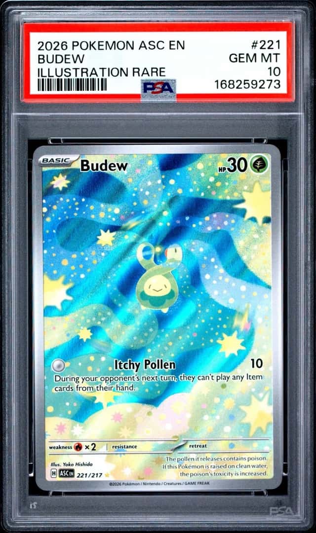 2026 POKEMON ASC EN-ASCENDED HEROES ILLUSTRATION RARE #221 BUDEW PSA 10