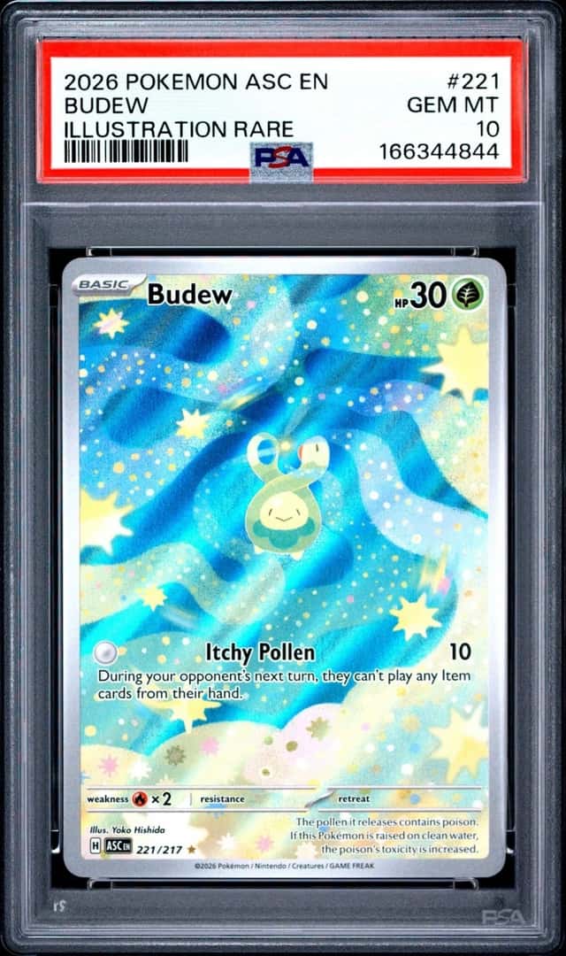 2026 POKEMON ASC EN-ASCENDED HEROES ILLUSTRATION RARE #221 BUDEW PSA 10