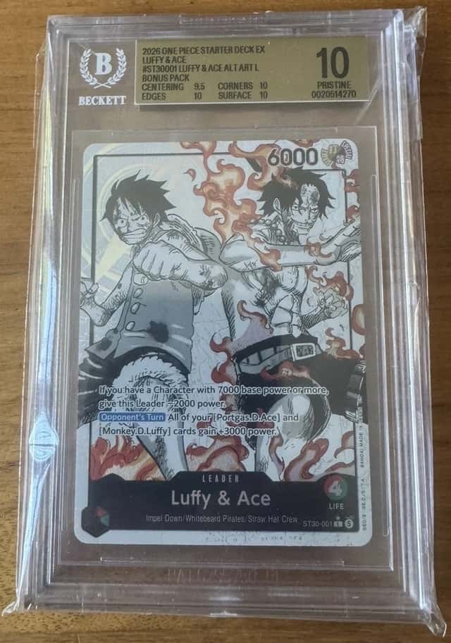Luffy & Ace