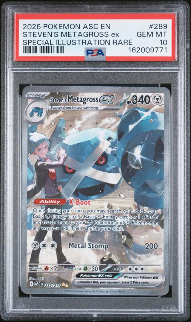 STEVEN'S METAGROSS ex
