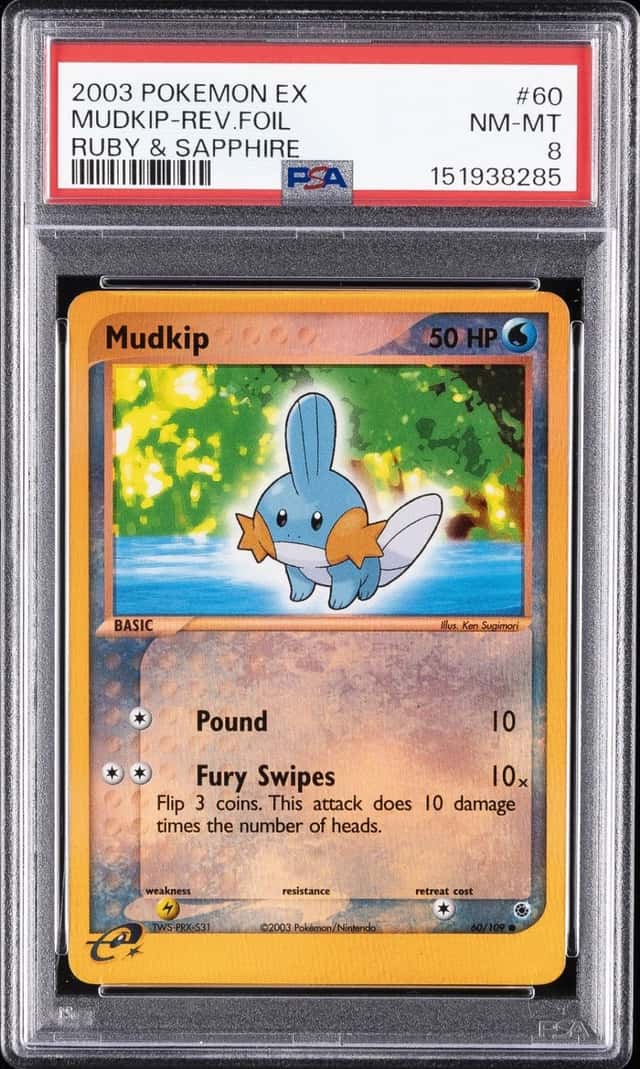 Mudkip