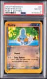 Mudkip