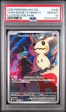 Team Rocket'S Mimikyu