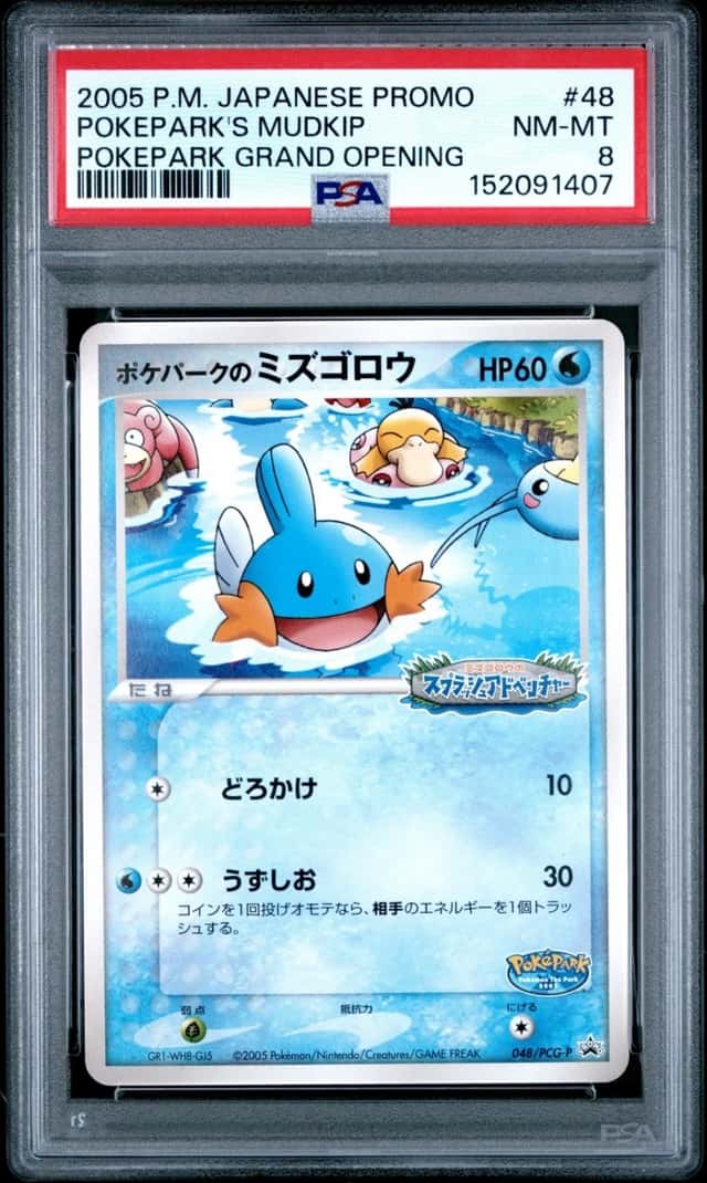 Pokepark's Mudkip