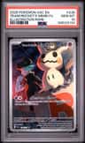 Team Rocket'S Mimikyu
