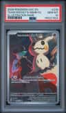 Team Rocket'S Mimikyu