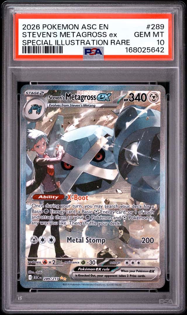 STEVEN'S METAGROSS ex