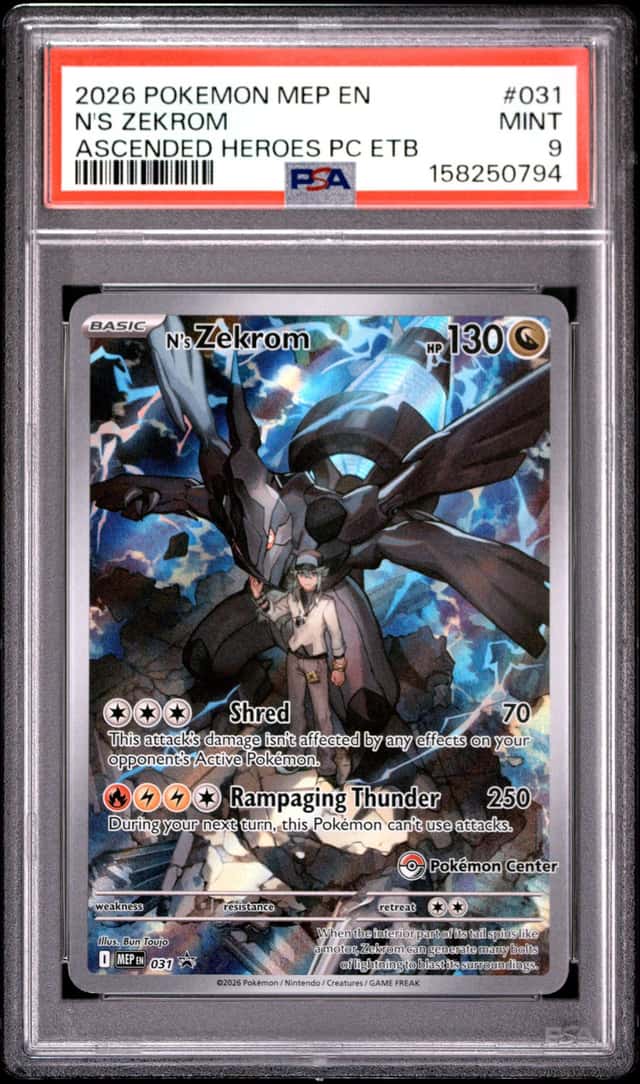 N's Zekrom