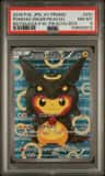 Poncho-Wearing Pikachu