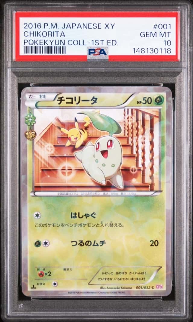 Chikorita