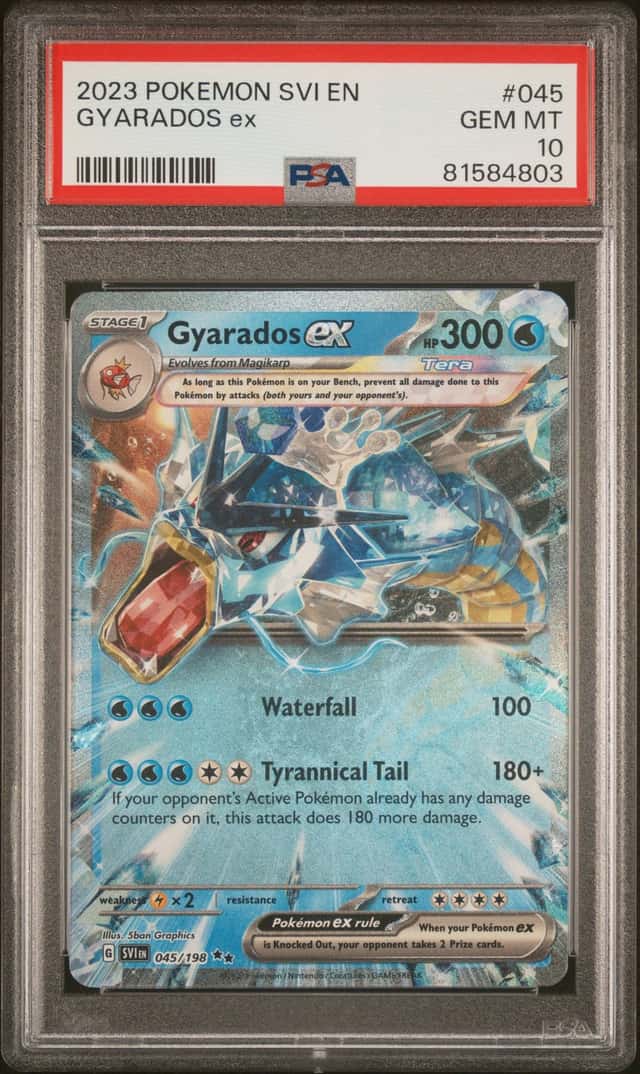 GYARADOS ex