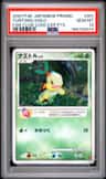 Turtwig
