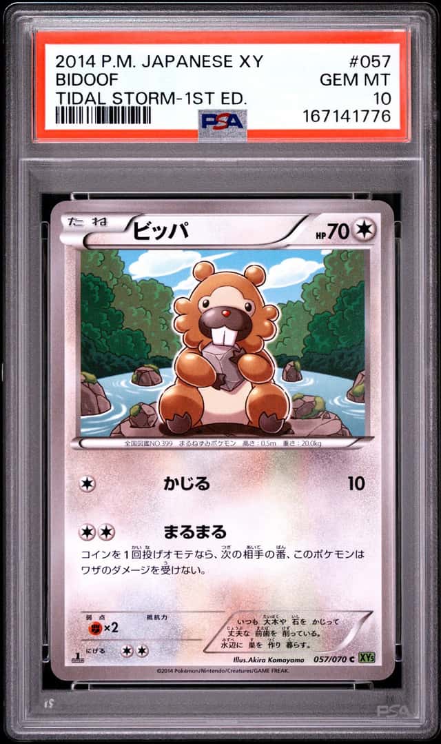 Bidoof