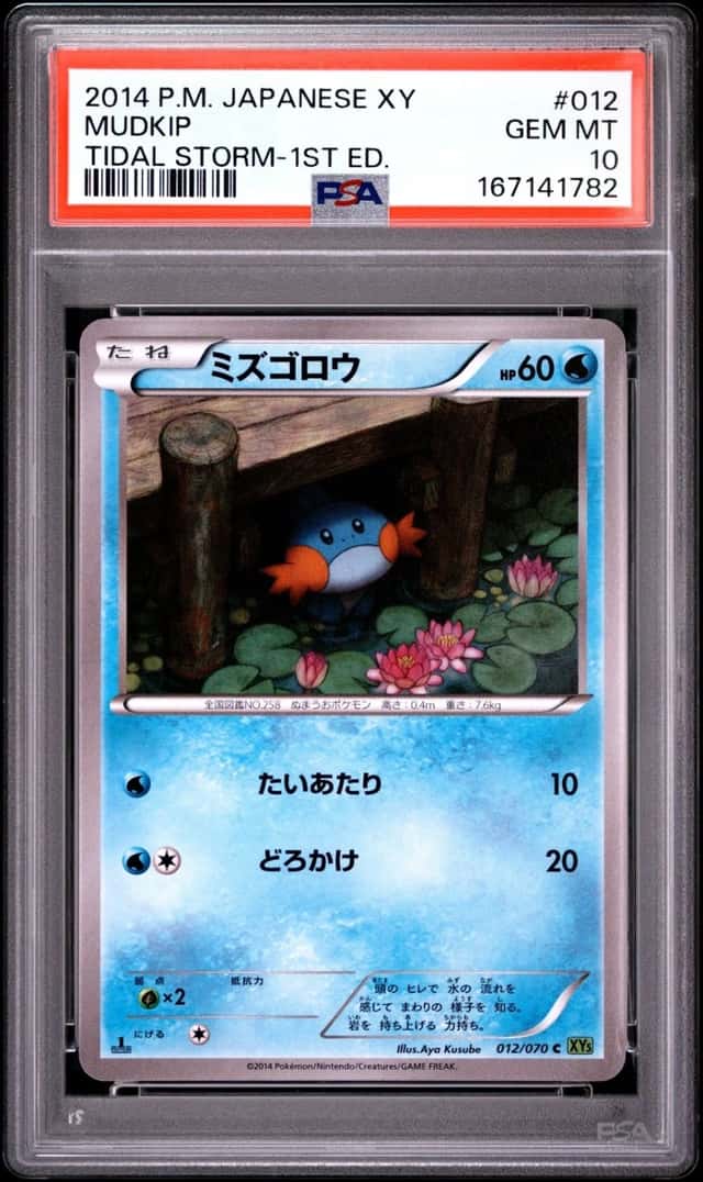 2014 POKEMON JAPANESE XY TIDAL STORM 1ST EDITION #012 MUDKIP PSA 10