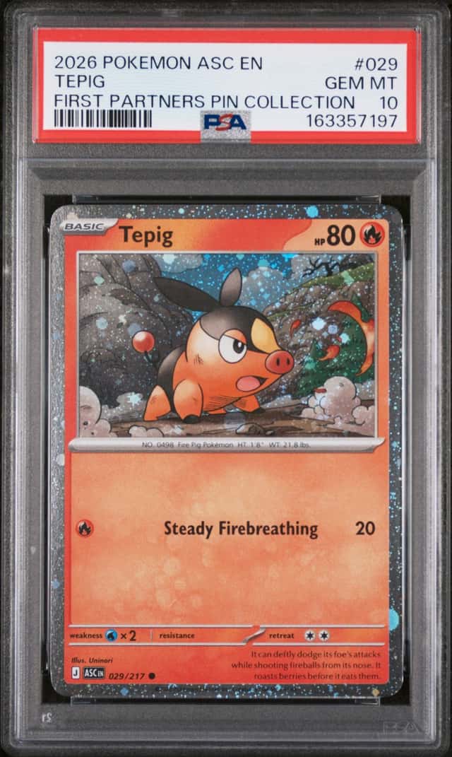 Tepig