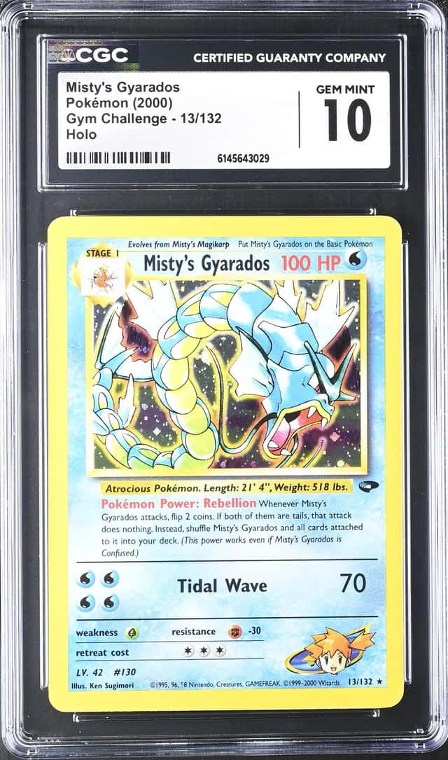 Misty's Gyarados