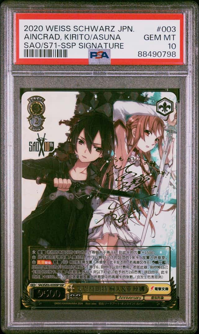 Aincrad, Kirito/Asuna
