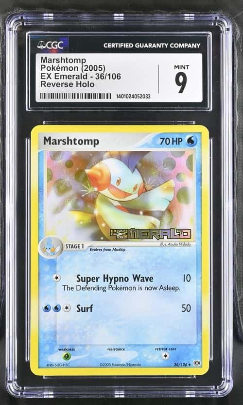 Marshtomp