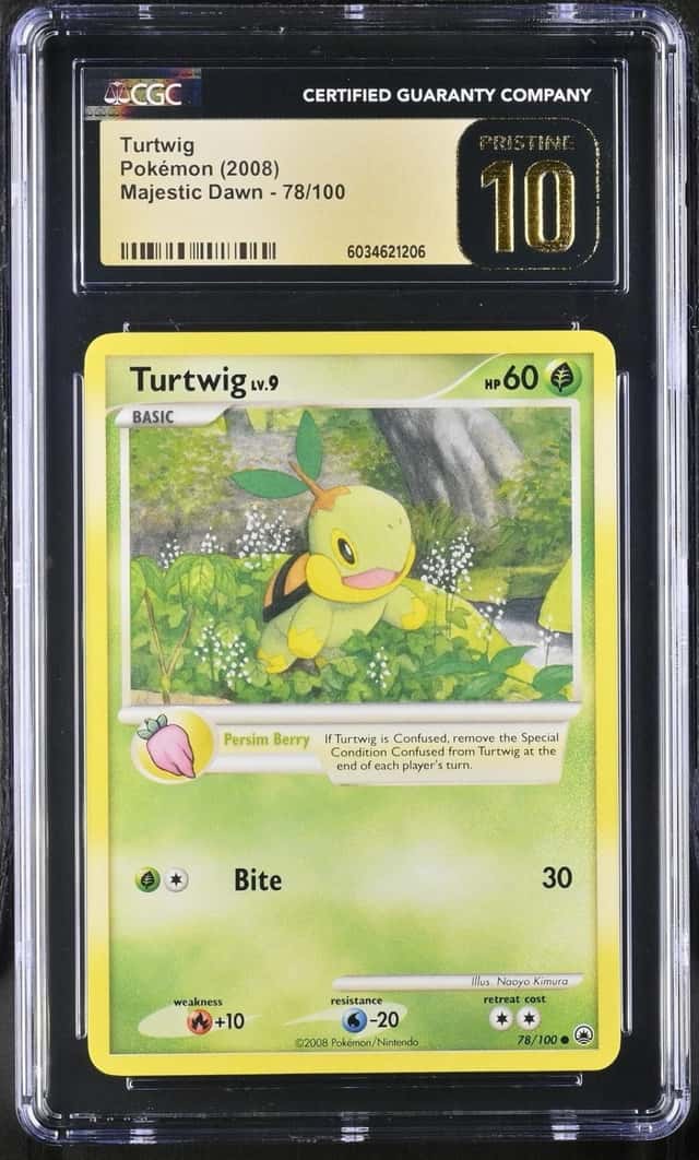Turtwig