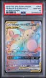 Raichu & Alolan Raichu Gx