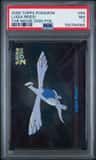 Lugia Rises!
