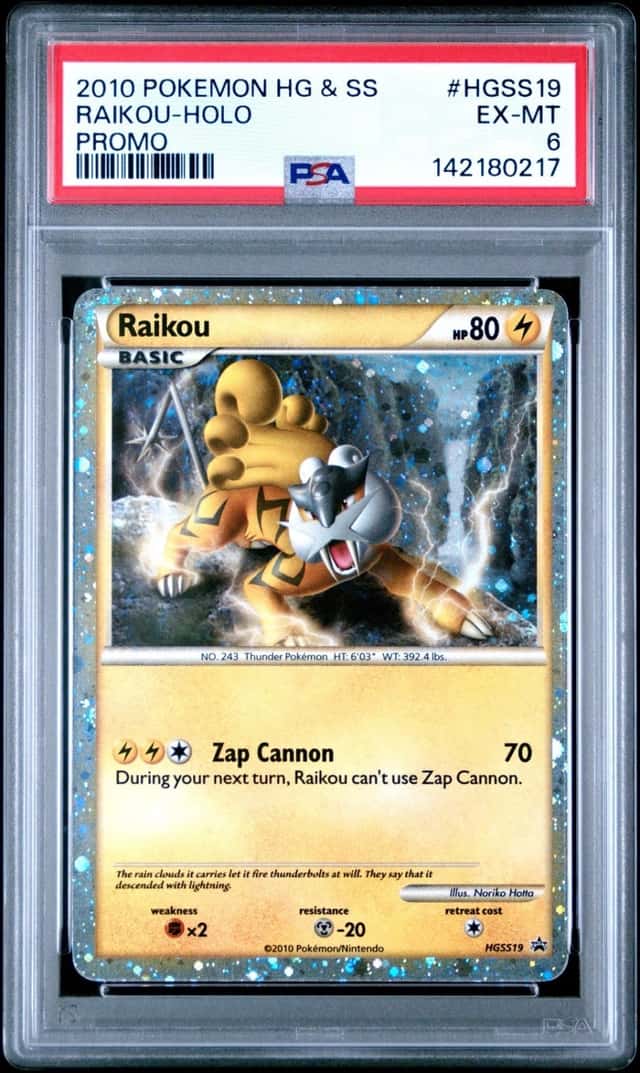 Raikou