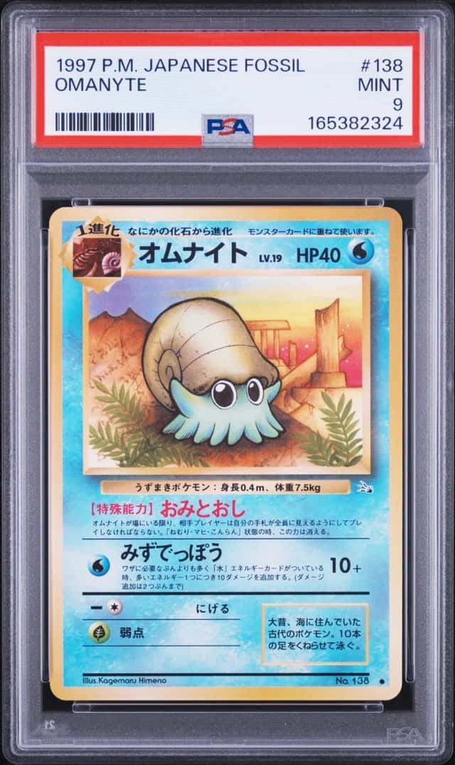 Omanyte