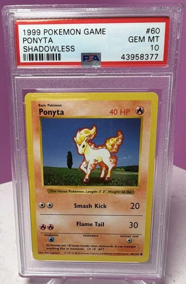 Ponyta