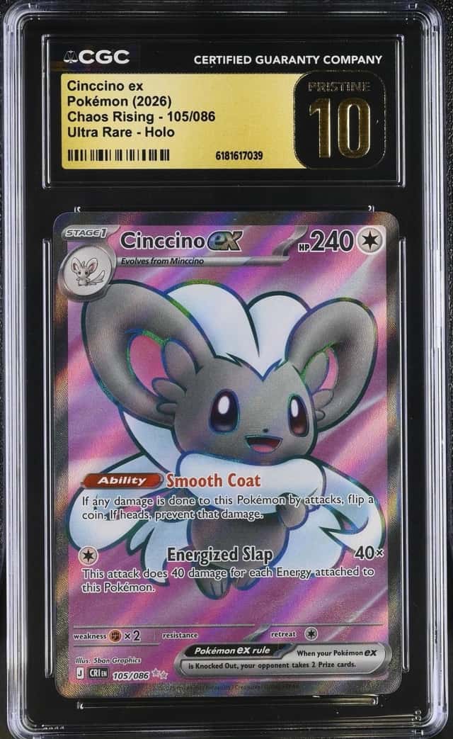 Cinccino ex