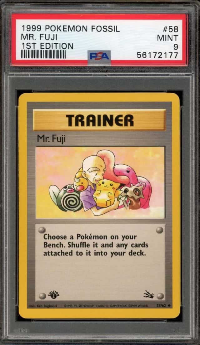 Mr. Fuji
