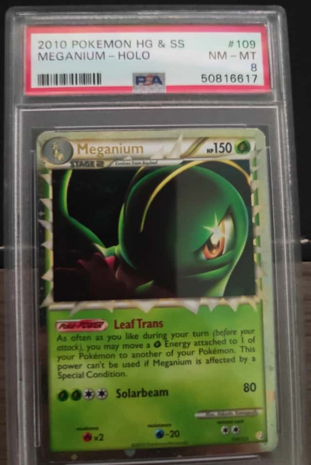 Meganium