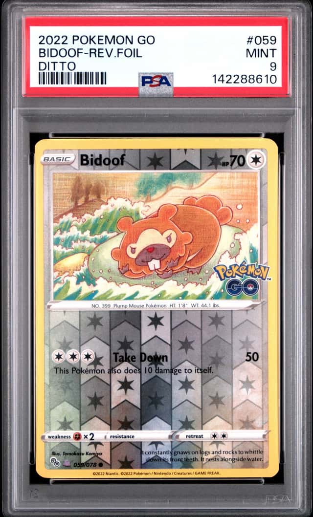 Bidoof