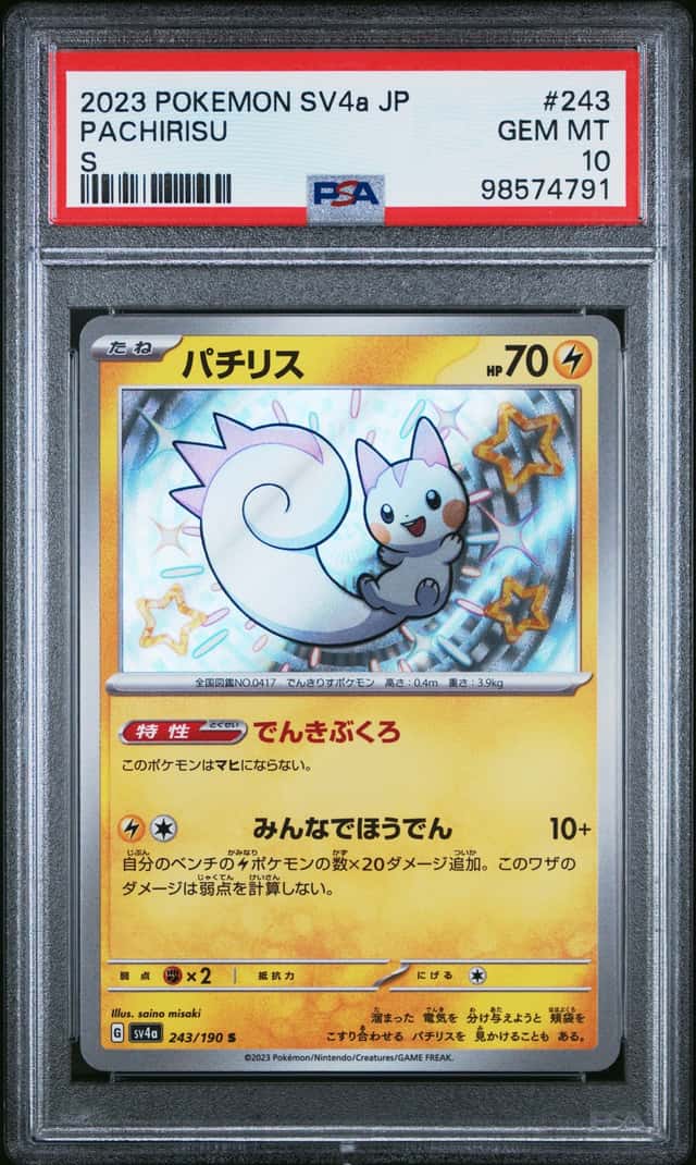 Pachirisu