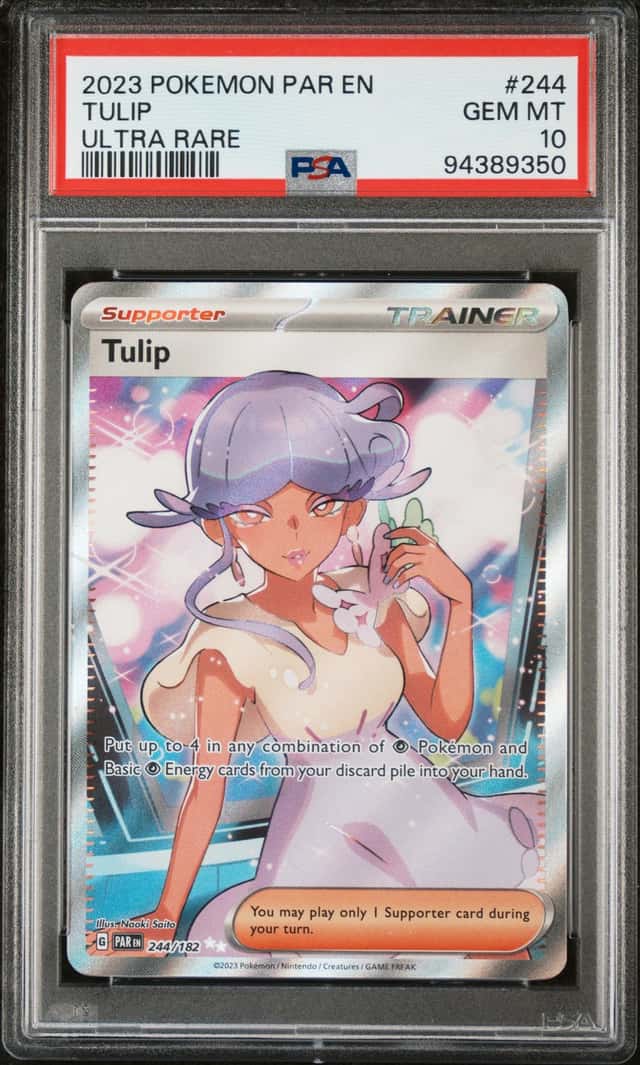 Tulip