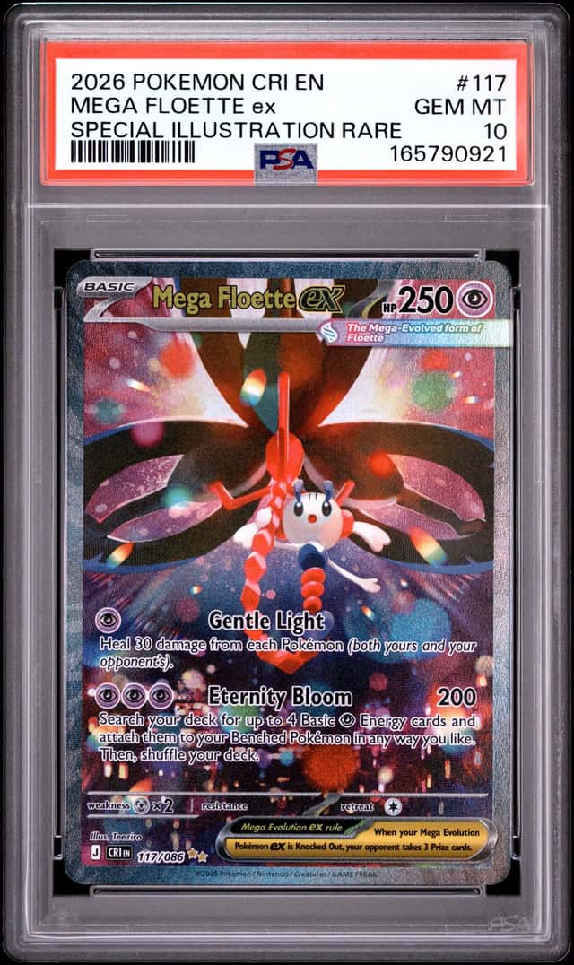 MEGA FLOETTE ex